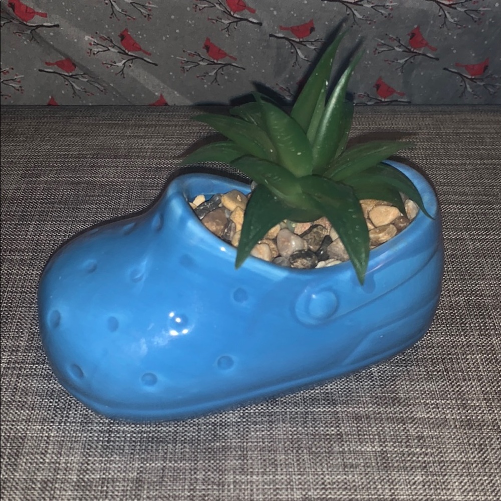Blue Shoe Planter with Succulent